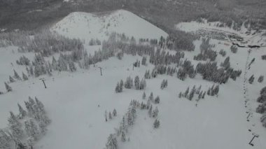 Karlı bir kış sırasında, Oregon Dağı Hood Dağı 'nın ulusal ormanının hava görüntüsü. 
