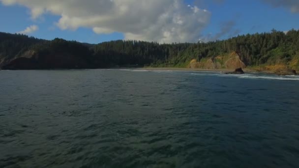 Luftbild Vom Canon Strand Der Oregonischen Küste — Stockvideo