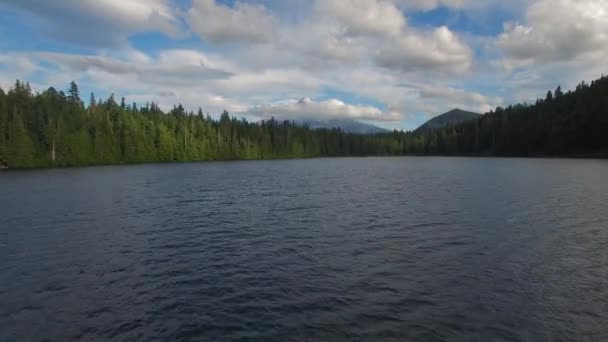 Légi Kilátás Oregon Clear Lake — Stock videók