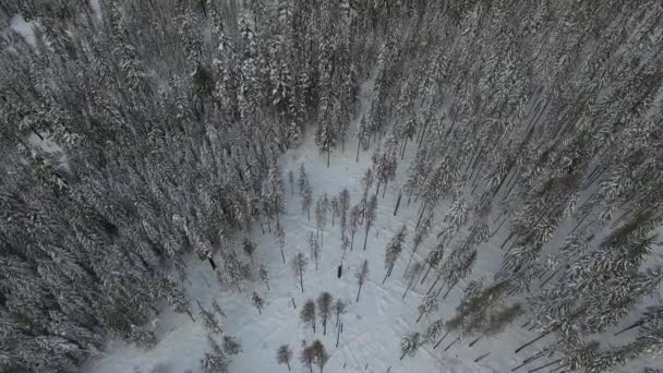 在寒冷的冬天 俄勒冈州空中的胡德山国家森林的空中录像 — 图库视频影像