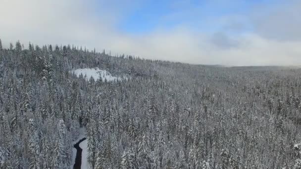 雪の降る冬におけるフッド山国有林の空中映像 — ストック動画