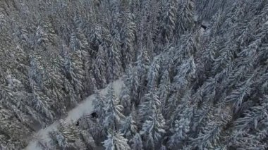 Karlı bir kış sırasında, Oregon Dağı Hood Dağı 'nın ulusal ormanının hava görüntüsü. 