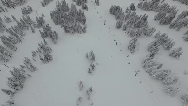 Oregon Hood Aerial Vídeo Bachelor Floresta Nacional Durante Inverno Nevado — Vídeo de Stock