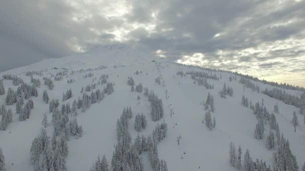 Karlı Bir Kış Sırasında Ulusal Bekâr Orman Dağı Nın Oregon — Stok video