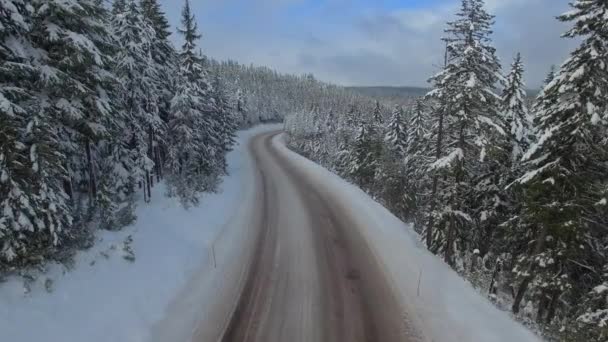 雪の降る冬におけるフッド山国有林の空中映像 — ストック動画