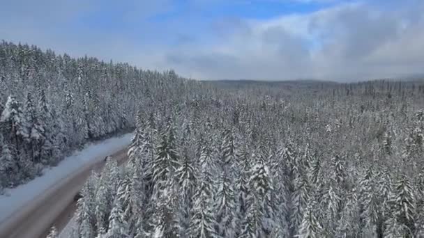 Oregon Hood Aerial Vídeo Floresta Nacional Hood Durante Inverno Nevado — Vídeo de Stock
