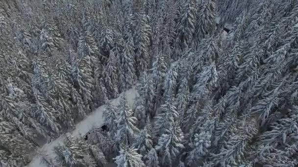 Flygfoto Oregon Hood Flygfoto Hood Nationalskog Snöig Vinter — Stockvideo