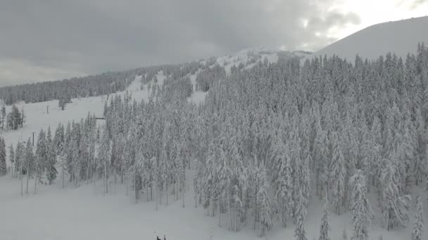 オレゴン州の雪の冬の間の学士国家森林の空中ビデオ — ストック動画