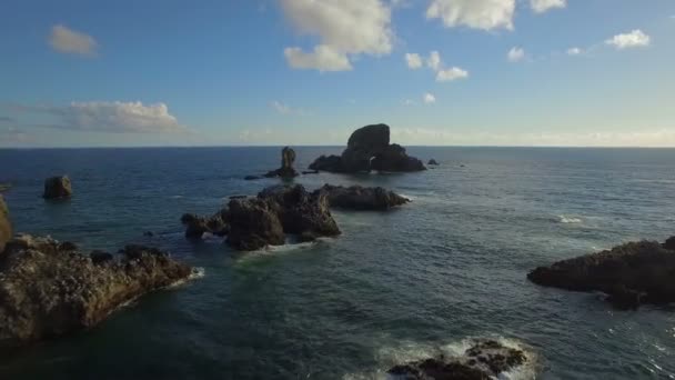 Εναέρια Βίντεο Της Canon Παραλία Στις Ακτές Του Όρεγκον — Αρχείο Βίντεο