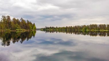 Sudaki orman yansıması