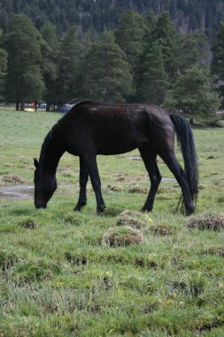 seyahat ve macera keşfi