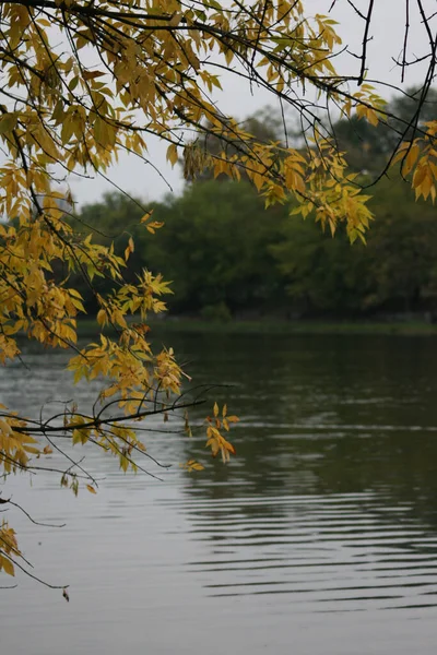 seyahat ve macera keşfi