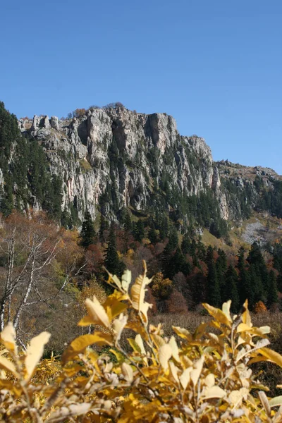 seyahat ve macera keşfi