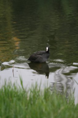 seyahat ve macera keşfi