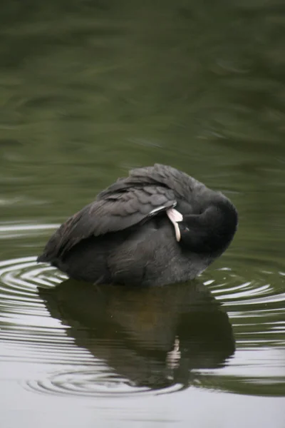 seyahat ve macera keşfi