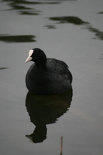 seyahat ve macera keşfi