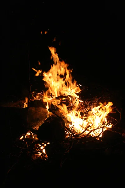 seyahat ve macera keşfi