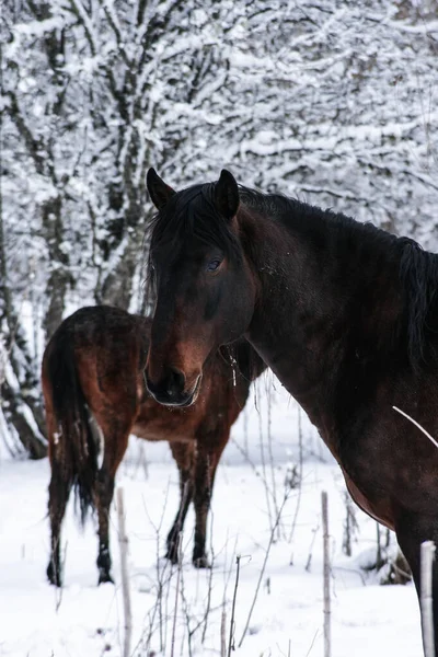 seyahat ve macera keşfi