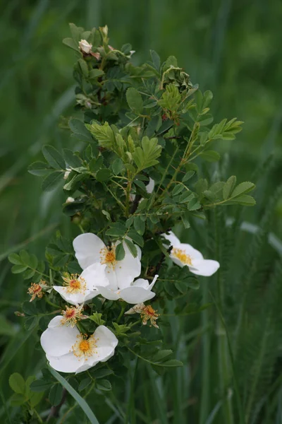 seyahat ve macera keşfi