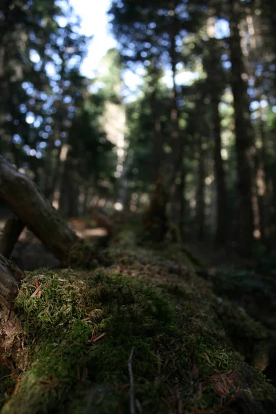 seyahat ve macera keşfi