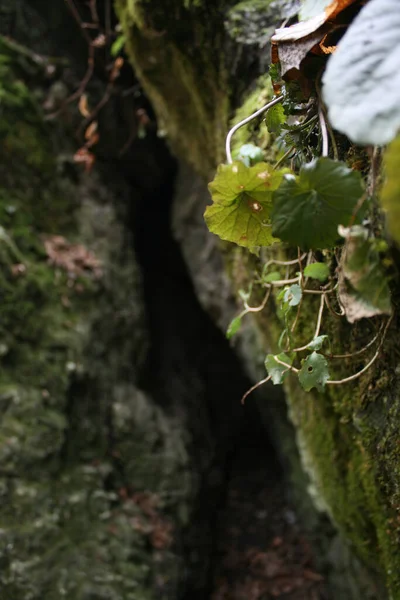 seyahat ve macera keşfi