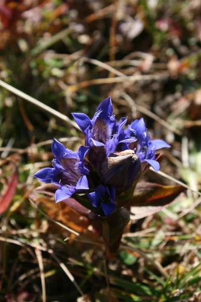 seyahat ve macera keşfi