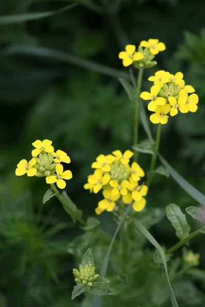 seyahat ve macera keşfi