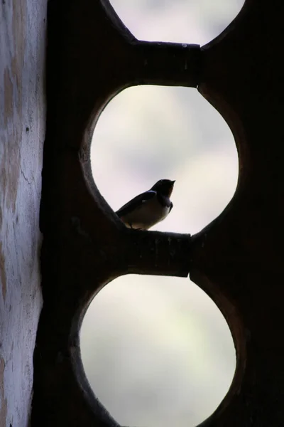 seyahat ve macera keşfi