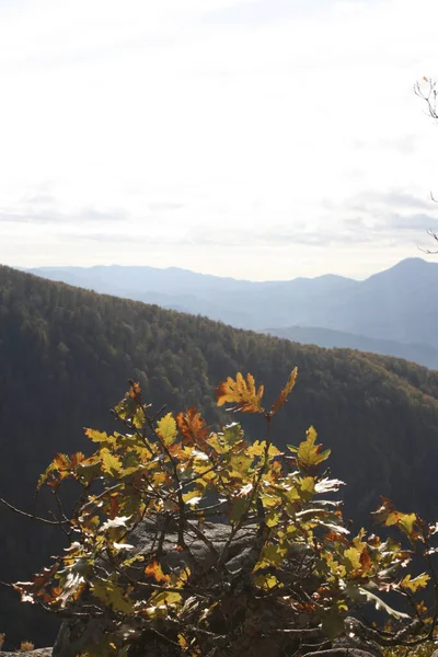seyahat ve macera keşfi