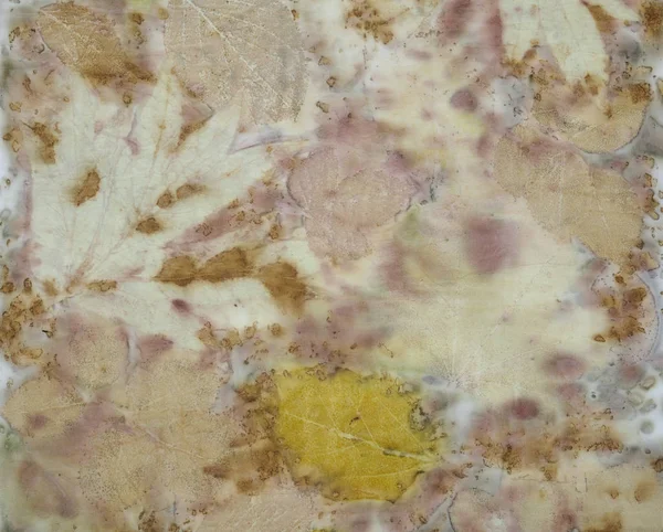 生态印花技术处理手工染色织物碎片 — 图库照片