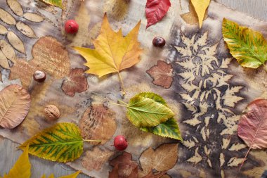 Sonbahar yaprakları, fındıklar ve böğürtlenler elle boyanmış kumaş şeritlerinde eko-baskı tekniği kullanılarak yatıyor.