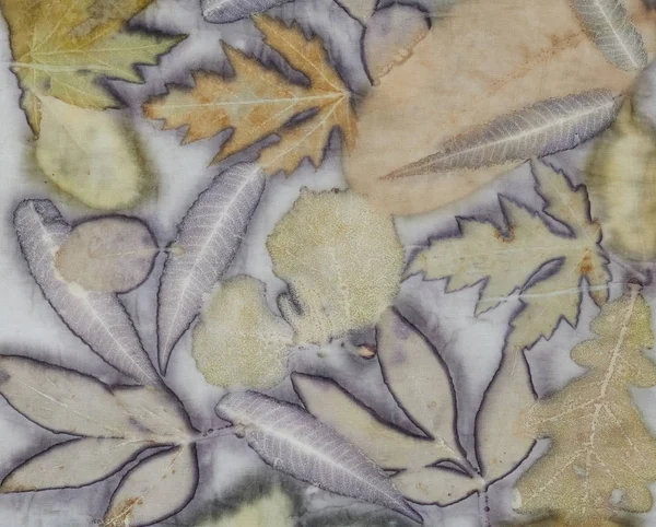 Fragmento de tecido tingido à mão usando a técnica de impressão ecológica — Fotografia de Stock