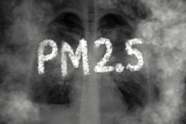 Pm2.5 kirliliğinden kaynaklanan akciğer hastalığı 