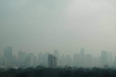 Bangkok 'ta 2,5 kirlilik
