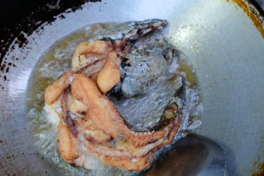 Çin lokantasında balık kızartma şefi.