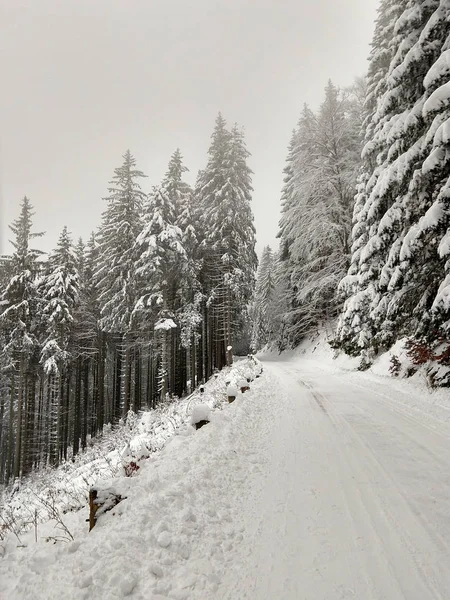 Foresta Montana Innevata Inverno — Foto Stock
