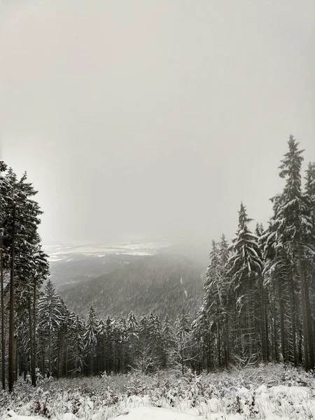 Snowy Mountain Forest Winter Time — Stock Photo, Image