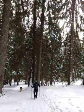 Karlı kış ormanlarında yürüyüş yapan bir adam