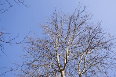 Slovakya 'nın gündüz çekim yeri