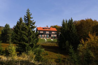 Yeşilliklerle çevrili evin manzarası