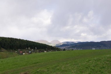 Çimenler çayırda. Gündüz çekimi