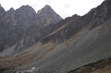Dağlar. Rocky Tepesi. Yüksek Tatras, Slovakya 'da Sivy Zirvesi