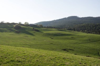 yeşil çayır manzarası, Slovakya