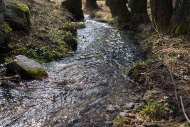 Güzel dağ nehri gündüz çekimleri