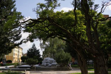 Şehir manzarası ve güzel bir park