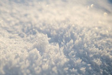 Kış boyunca kar altında doğa. Slovakya