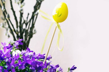 Renk çiçek atış kapatın