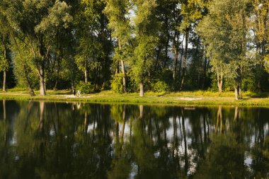 Doğanın arka planında güzel bir göl