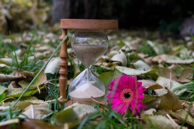 Yapraklarda kum saati