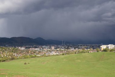 Çimenler çayırda. Gündüz çekimi